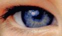 [Click here to see a picture index...]