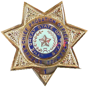 badge.GIF (31219 bytes)