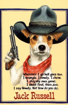 Cowgirl Terrier