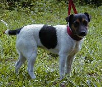 Sable 7/8/01