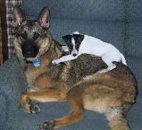 Skip & Major