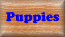 puppies
