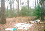 wood3.jpg (68473 bytes)