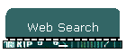 Web Search