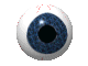Image of eyeball.gif