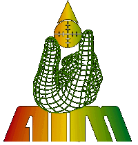 [AIM Logo]