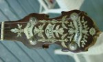 Photo of banjo peghead