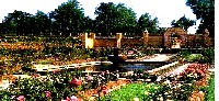 Tyler Rose Garden