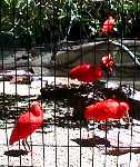 Caldwell Zoo